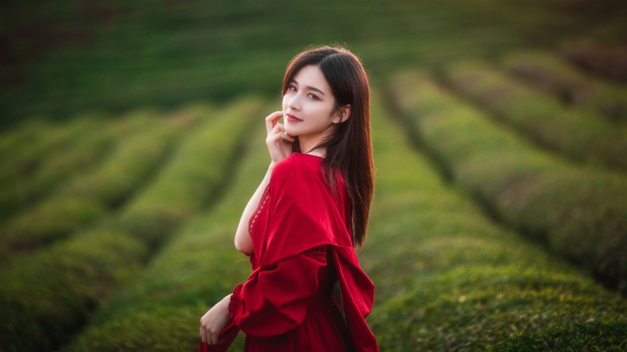 提升网站流量的秘密武器——SEO排名软件SI