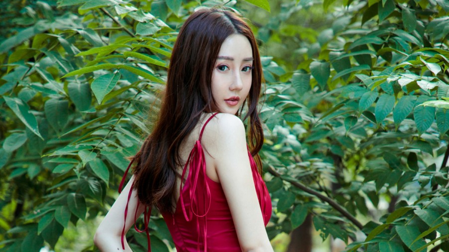 SEO网站营销计划：全面提升您的在线业务