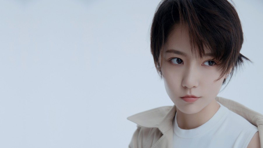 小旋风蜘蛛池pro建站教程
