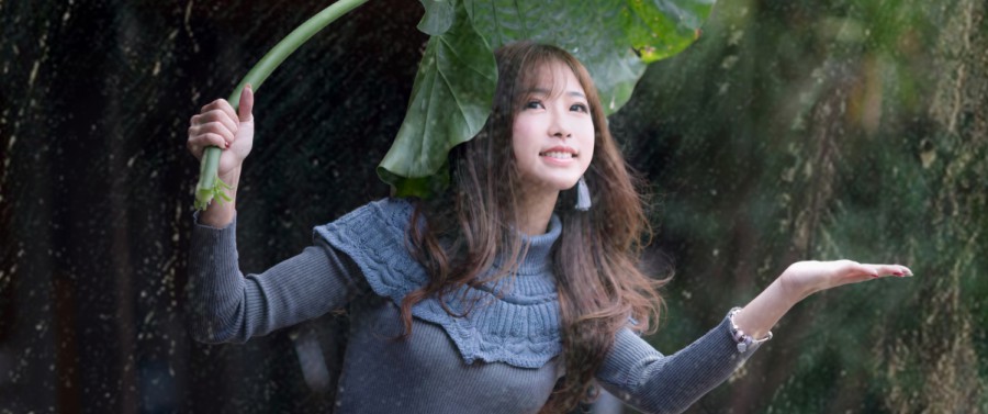广州SEO排名运营：让您的网站在竞争中脱颖而出