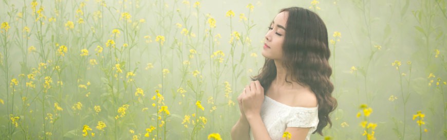 提升你的网站在“seo搜索系统排名”中的表现